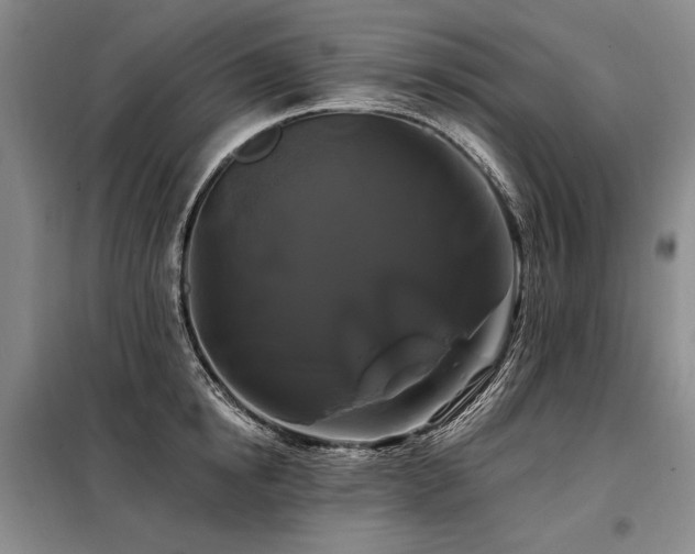 X0000098130854200804171519