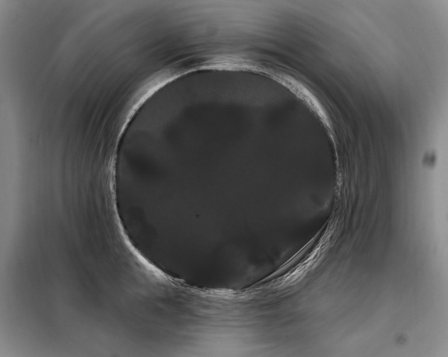 X0000098130855200804171519