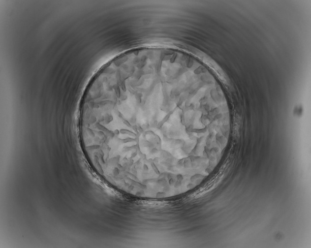 X0000098130856200804171519