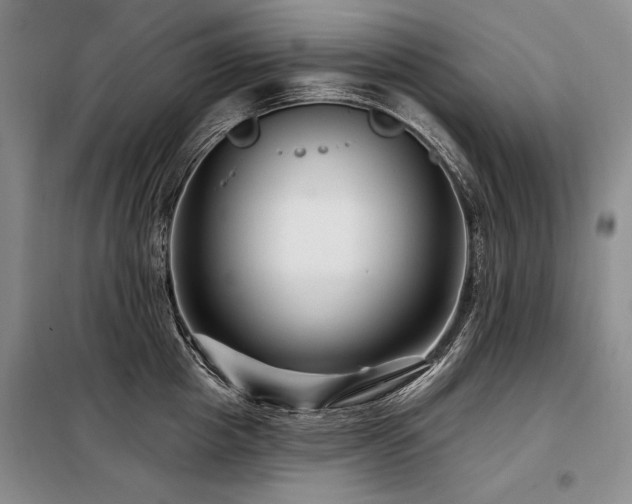 X0000098130857200804171519
