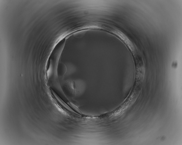 X0000098130858200804171519