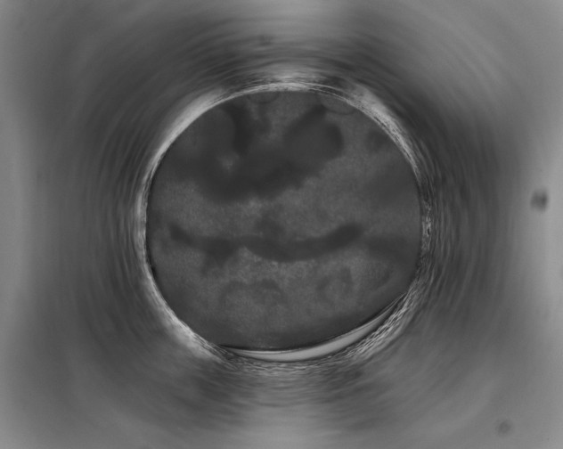 X0000098130859200804171519