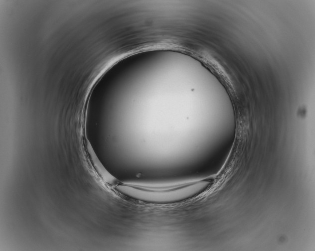 X0000098130860200804171519