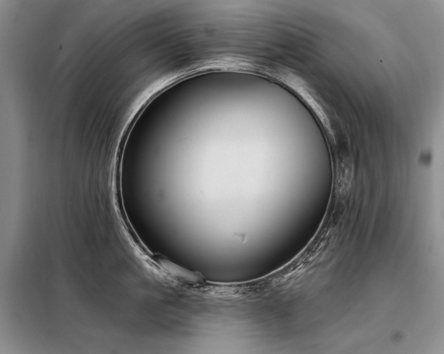 X0000098130861200804171519