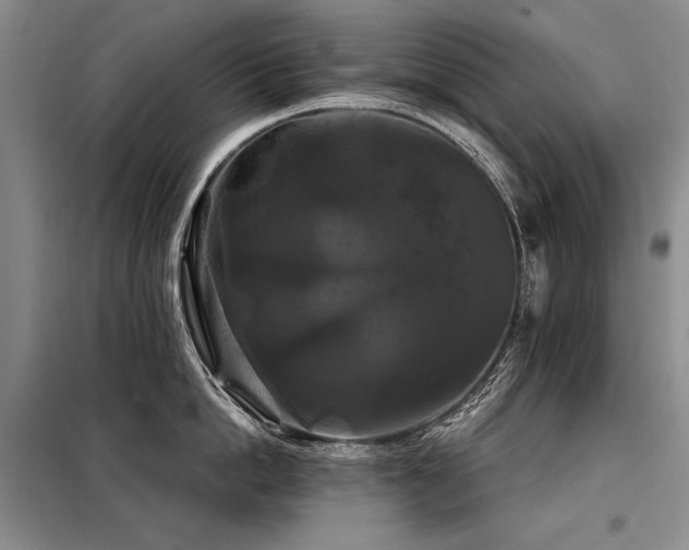 X0000098130862200804171519
