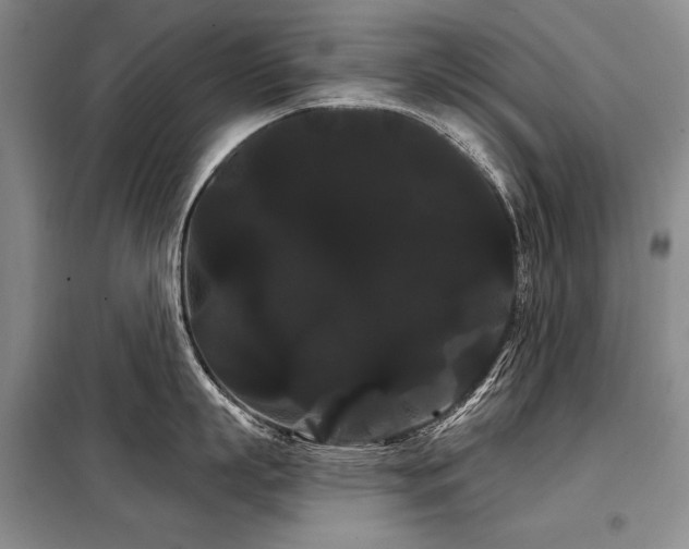X0000098130863200804171519