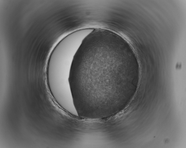 X0000098130864200804171519