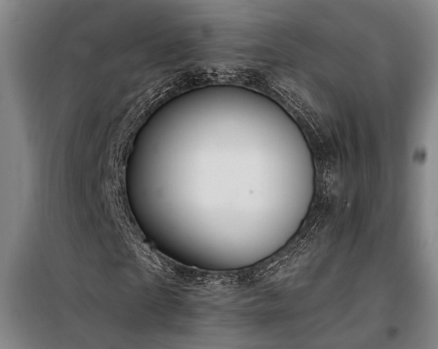 X0000098130865200804171519
