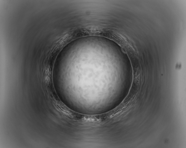 X0000098130866200804171519