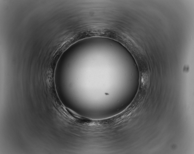 X0000098130867200804171519