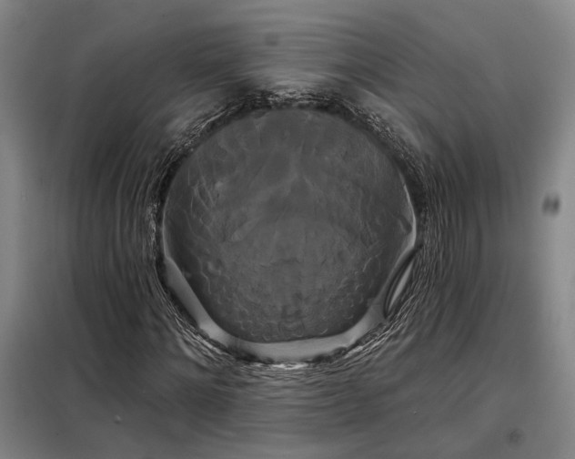 X0000098130868200804171519