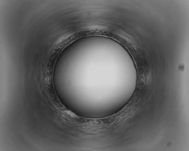 X0000098130869200804171519