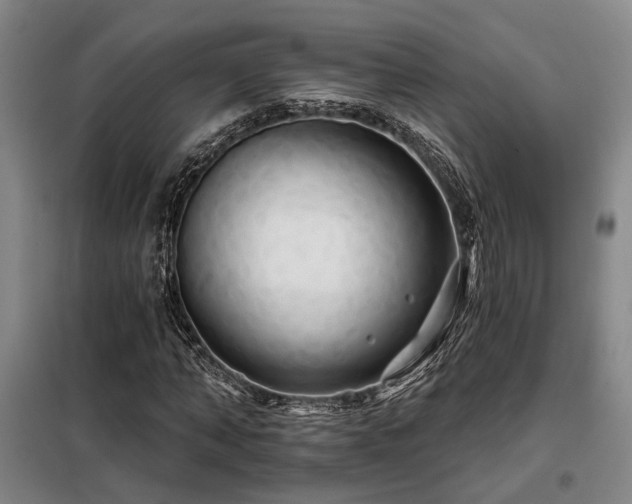 X0000098130870200804171519