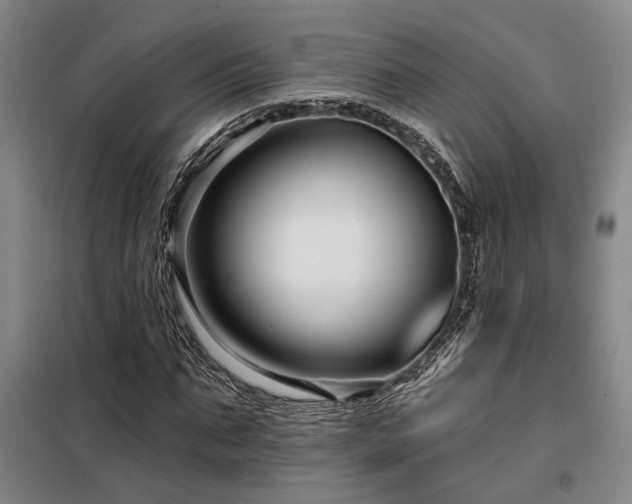 X0000098130871200804171519