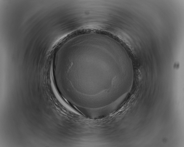 X0000098130872200804171519