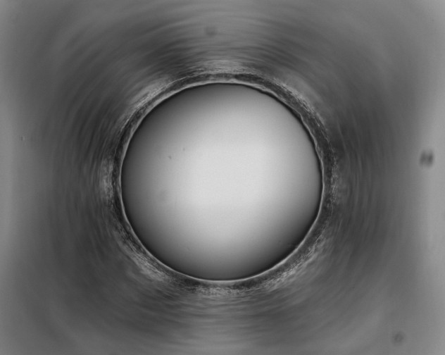 X0000098130873200804171518