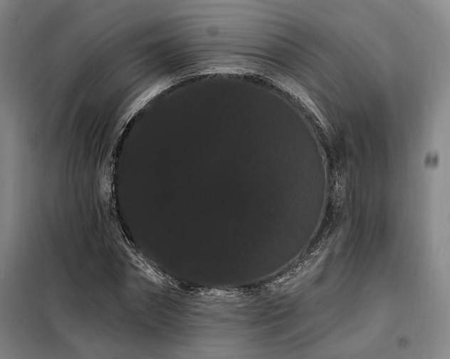 X0000098130874200804171518