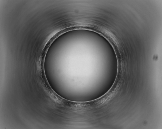 X0000098130875200804171518