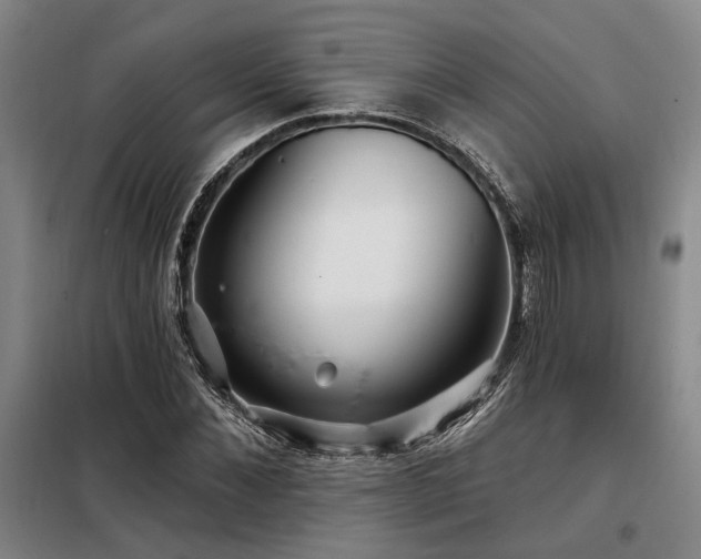 X0000098130876200804171518