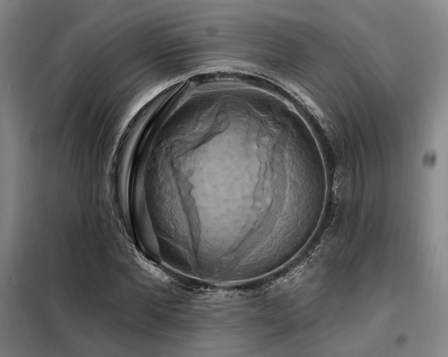 X0000098130877200804171518