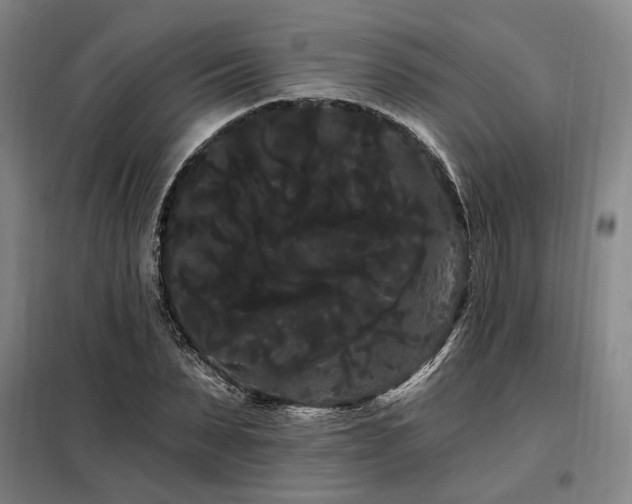 X0000098130879200804171518