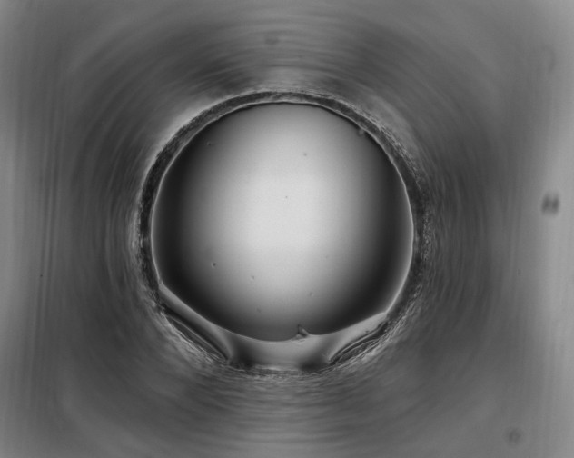X0000098130880200804171518