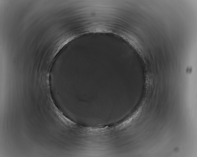 X0000098130881200804171518