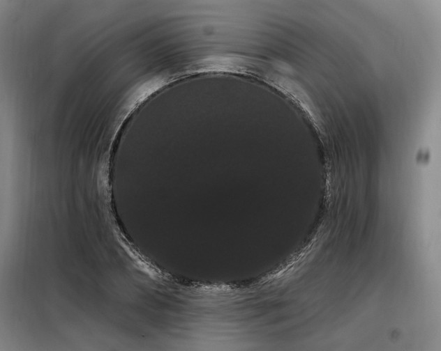 X0000098130882200804171518