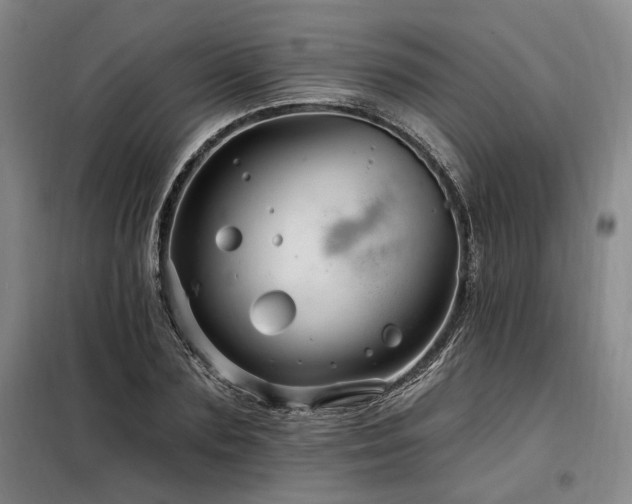 X0000098130883200804171518