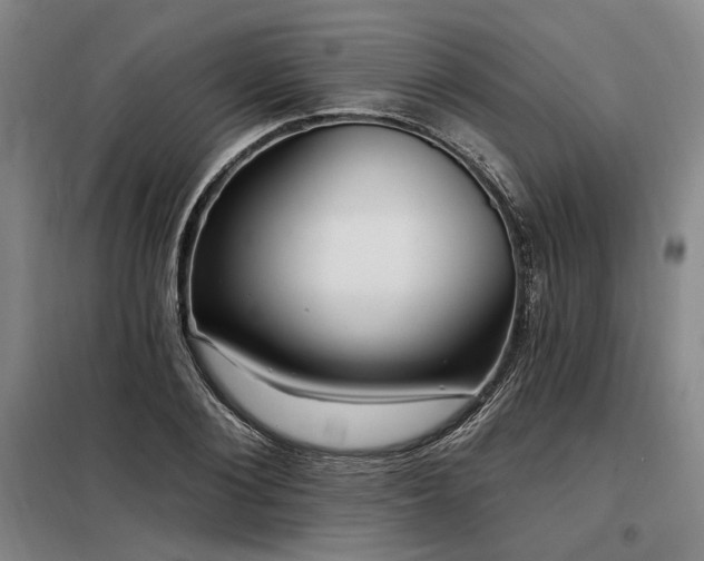 X0000098130884200804171518