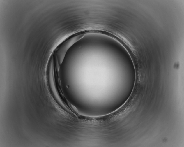 X0000098130885200804171518