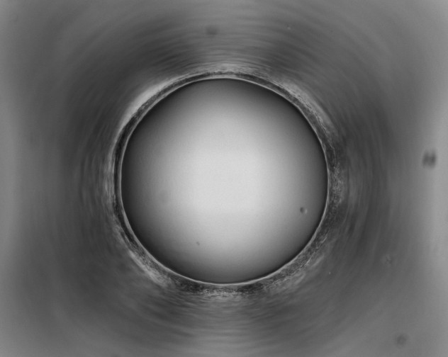 X0000098130886200804171518