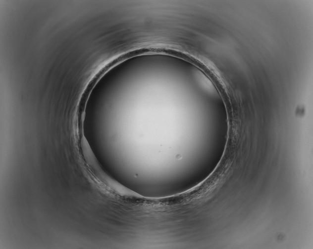 X0000098130887200804171518