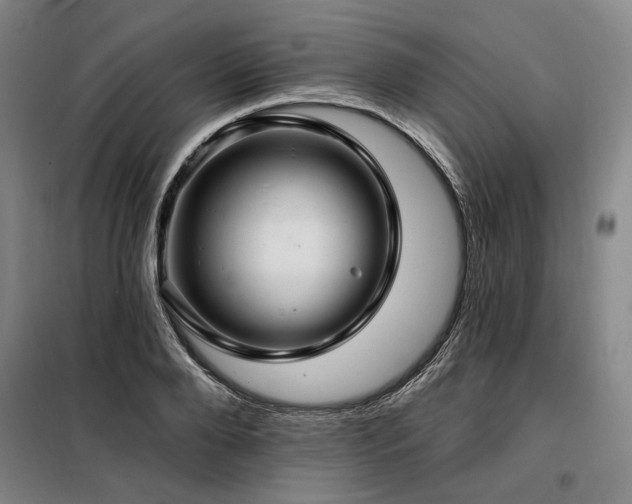 X0000098130888200804171518
