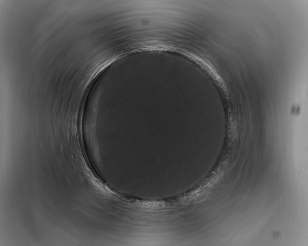 X0000098130889200804171518