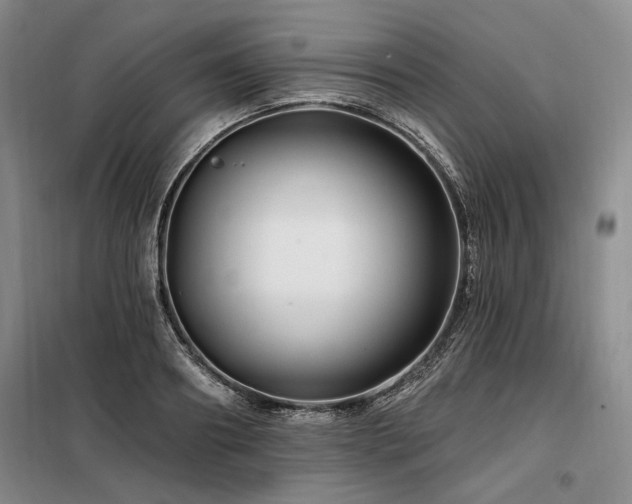 X0000098130890200804171518
