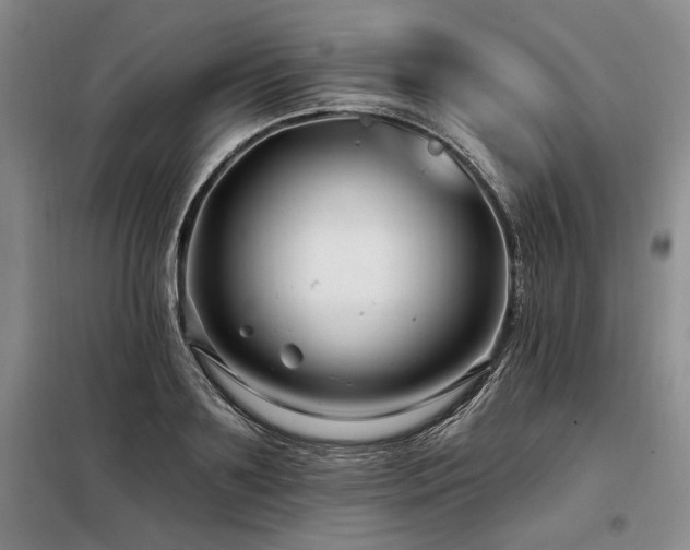 X0000098130891200804171518
