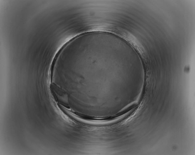 X0000098130892200804171518