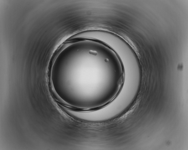 X0000098130893200804171518