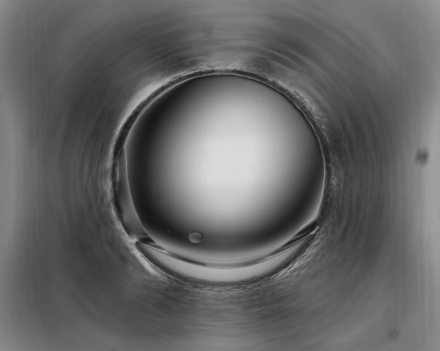 X0000098130894200804171518