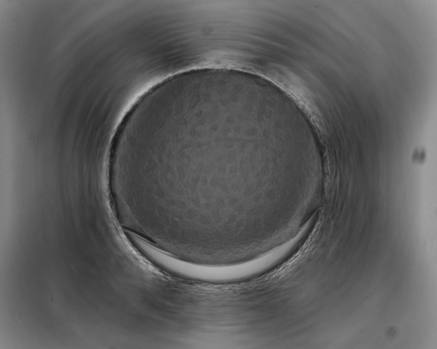 X0000098130896200804171518