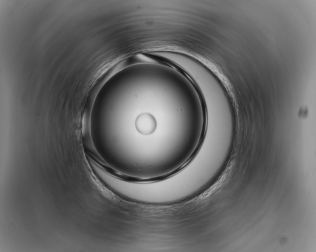 X0000098130897200804171518