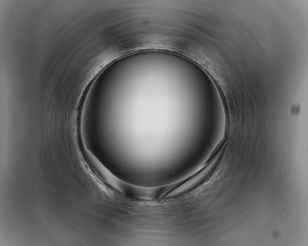 X0000098130898200804171518