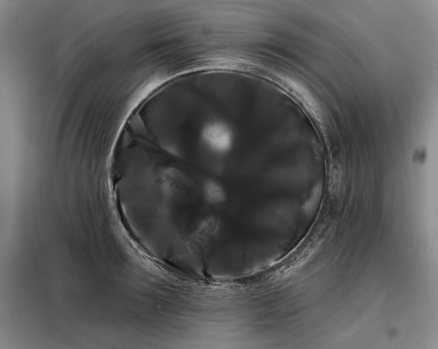X0000098130899200804171518