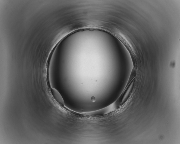 X0000098130900200804171518