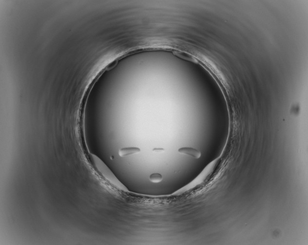 X0000098130901200804171518