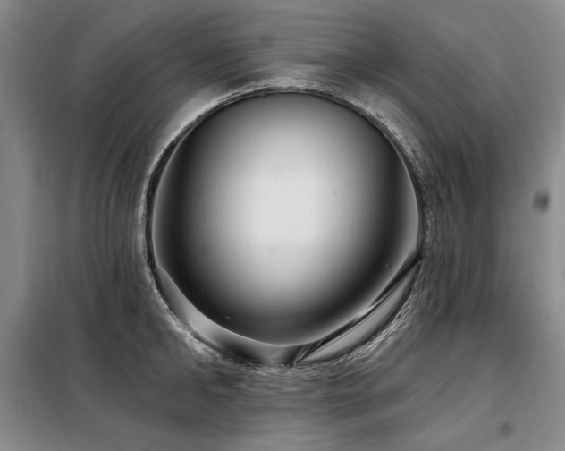 X0000098130902200804171518