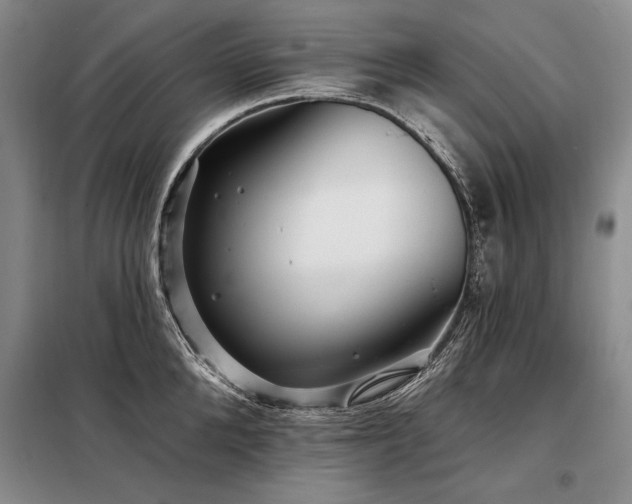 X0000098130904200804171518