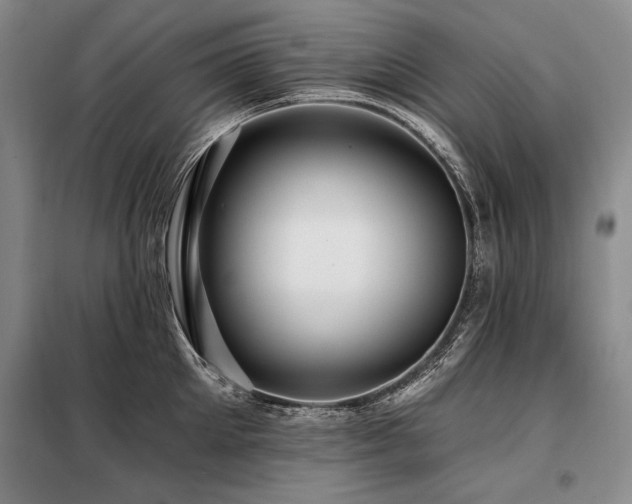 X0000098130905200804171518