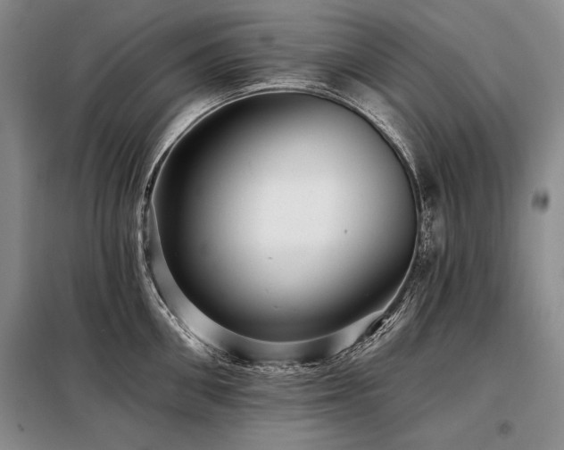 X0000098130906200804171518